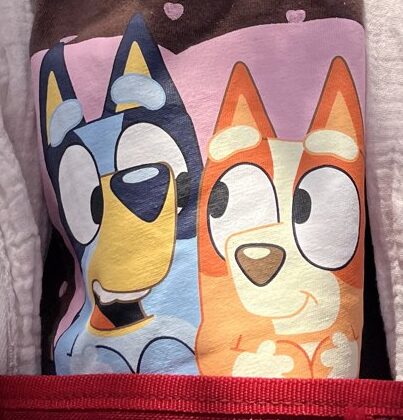 花見のときの一枚。ブルーイとビンゴのTシャツ