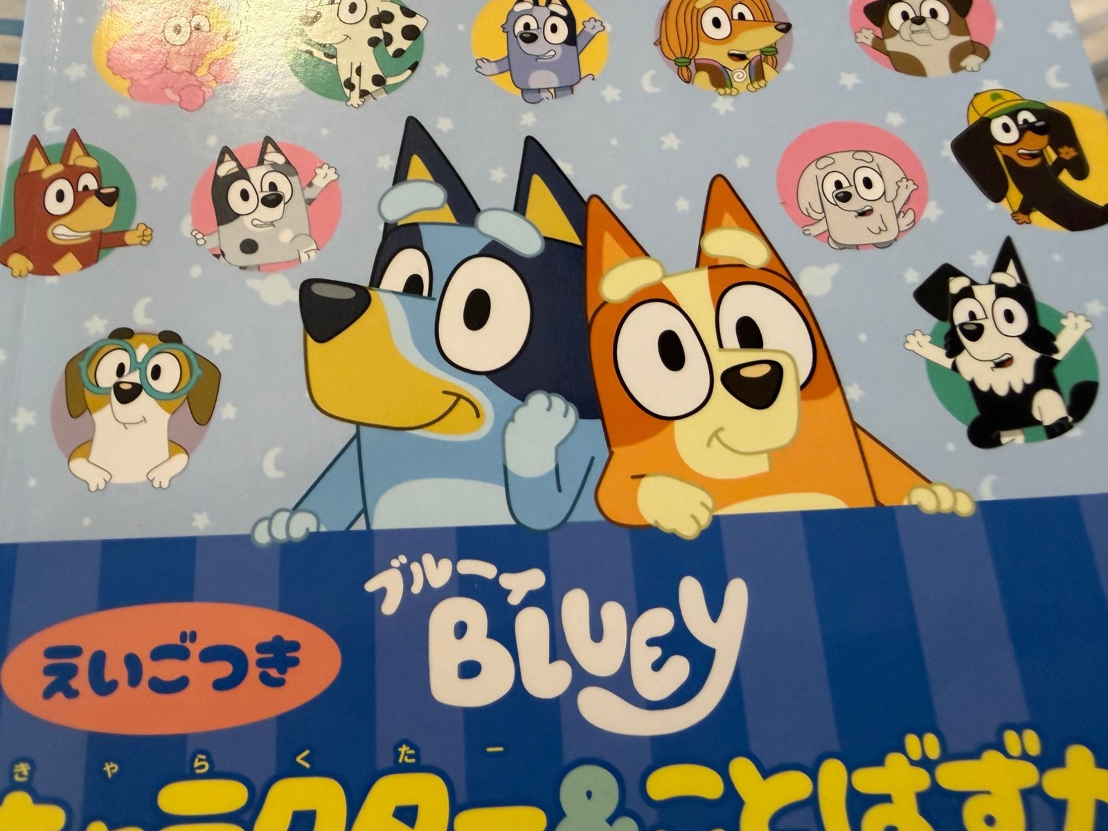 表紙にブルーイとビンゴ、そのまわりに十数体のキャラクターが並ぶ
